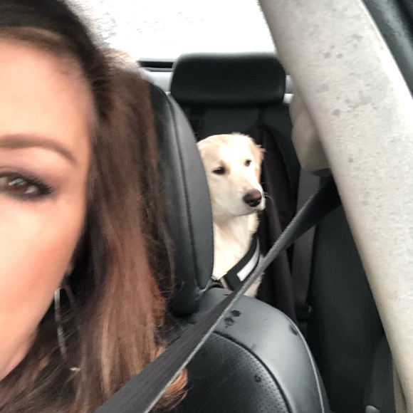 Meet your Posher, Barbara - Picture 1 of 1